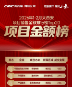 开盘100天热销超11亿，解码幸福晓棠现象级红盘